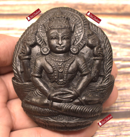 ShriRudram Narayan Murti / Badri Narayan Idol Carved on Sudarshan Shaligram BN206
