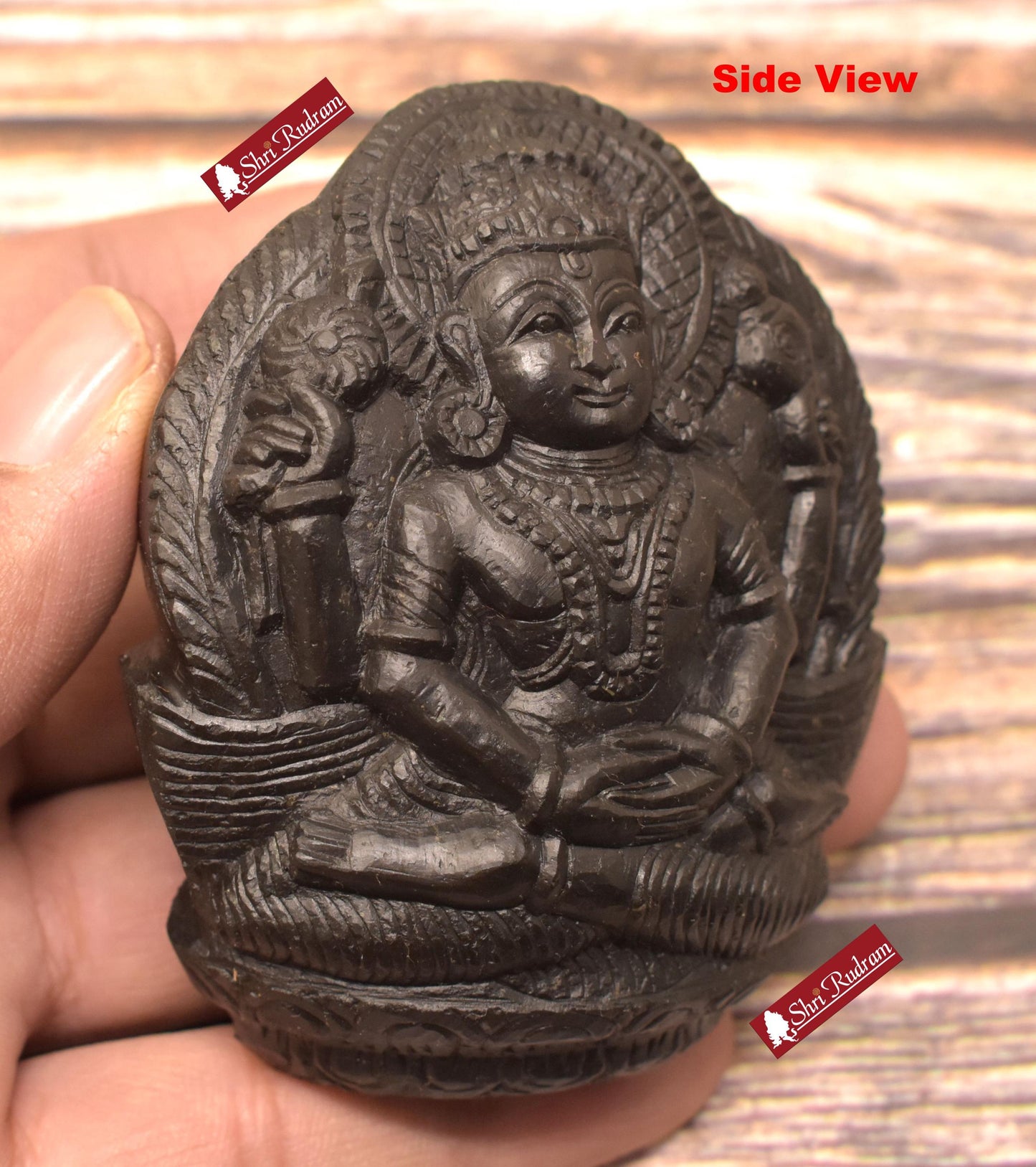 ShriRudram Narayan Murti / Badri Narayan Idol Carved on Sudarshan Shaligram BN206