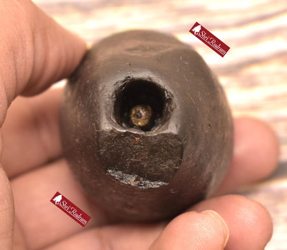 ShriRudram Harihara Shaligram , Hari Hara Shaligram Maha Vishnu Shiva Saligram Stone Gandaki Nepal, Religious Gifts HS140