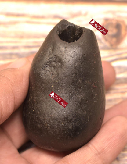 ShriRudram Harihara Shaligram , Hari Hara Shaligram Maha Vishnu Shiva Saligram Stone Gandaki Nepal, Religious Gifts HS140