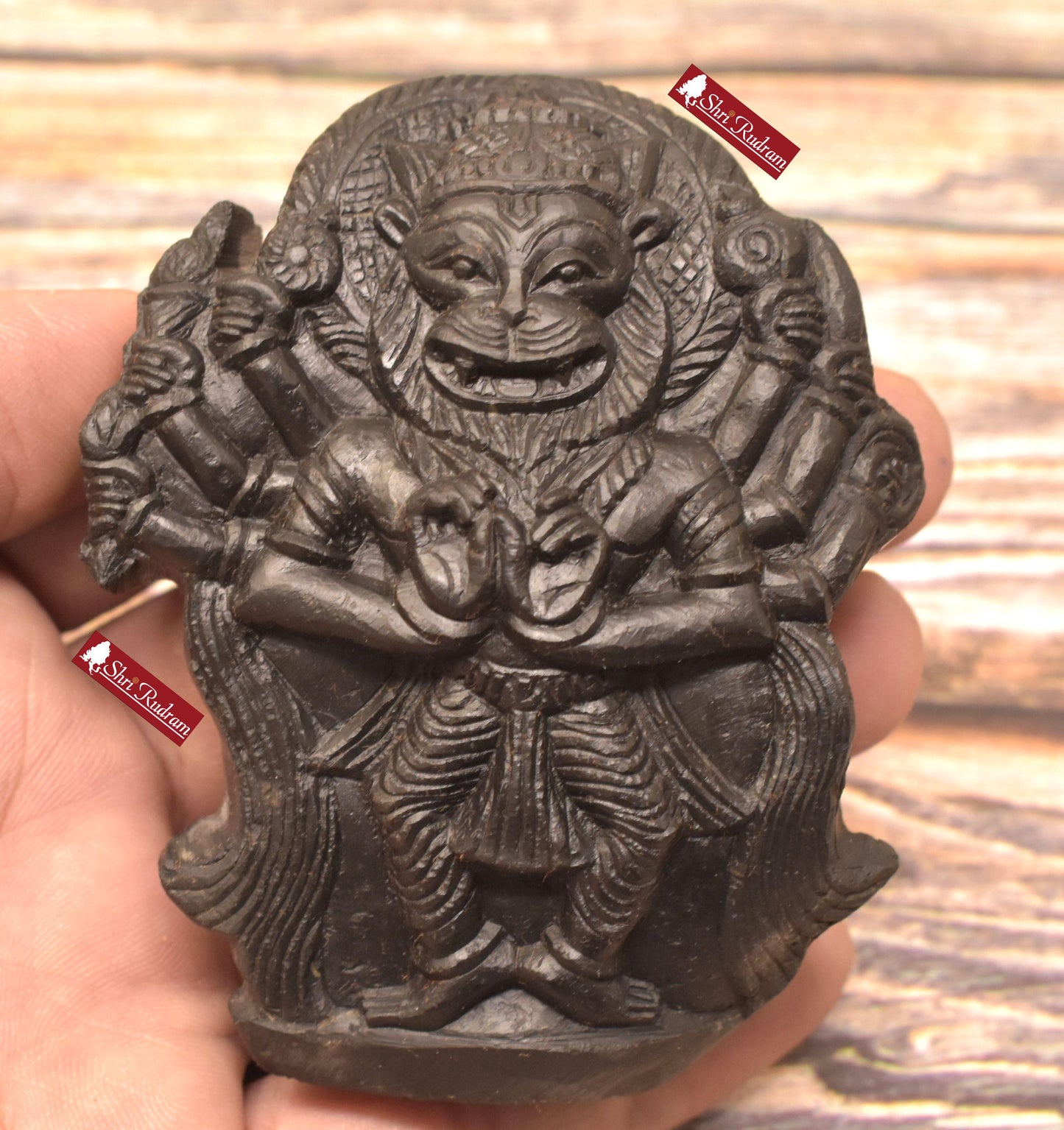 ShriRudram Narsimha Idol / Sthanu Narasimha On Golden Sudarshan Shaligram of Gandaki river Nepal SN234
