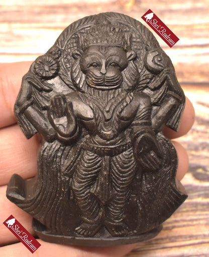 ShriRudram Narsimha Murti / Standing Narasimha Idol Carved on Golden Sudarshan Shaligram Nepal SHN125
