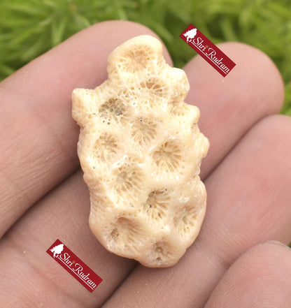 ShriRudram Rare Dwarika Shila - Divine Stone, Religious Gifts, KrishnaHoly Stone, Ritual Pooja Item, Sacred Stone, Hinduism, Home Shrine D09