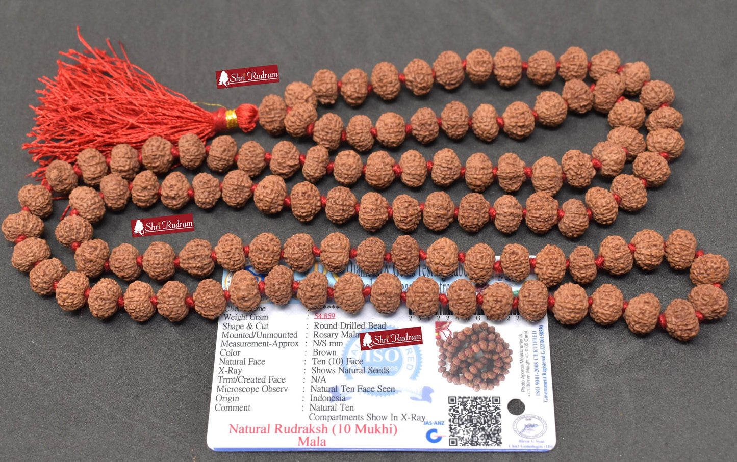 ShriRudram 10 Mukhi Rudraksha Mala / Ten Face Rudraksh Rosary Java Lab Certified 10-11 MM