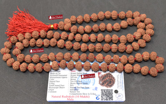 ShriRudram 10 Mukhi Rudraksha Mala / Ten Face Rudraksh Rosary Java Lab Certified 10-11 MM