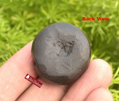 ShriRudram Sudarshan Shaligram / Sudershan Saligram Stone Ammolite Gandaki Nepal AMZ25