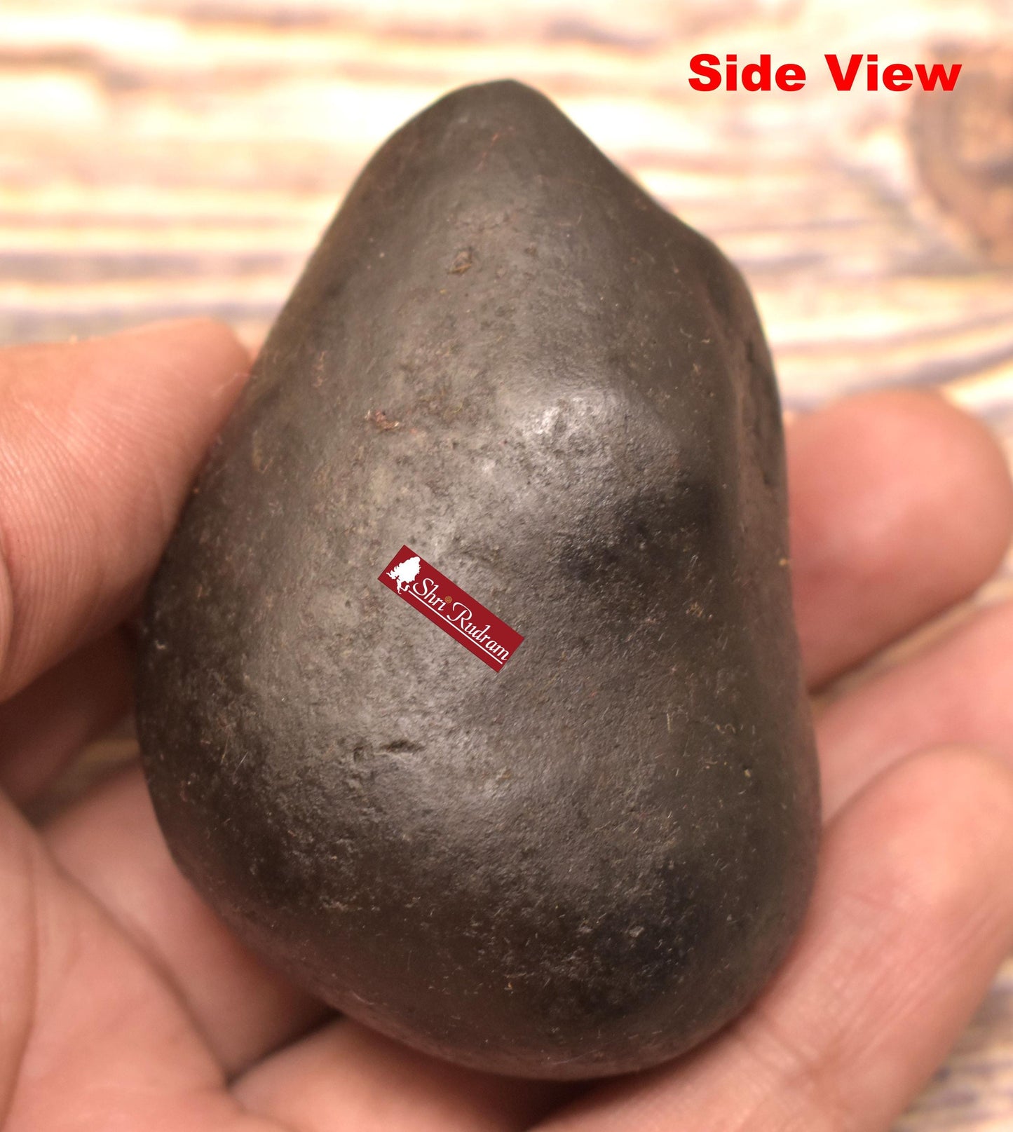 ShriRudram Harihara Shaligram , Hari Hara Shaligram Maha Vishnu Shiva Saligram Stone Gandaki Nepal, Religious Gifts HS140