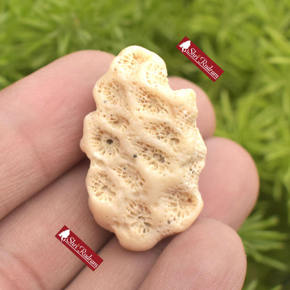 ShriRudram Rare Dwarika Shila - Divine Stone, Religious Gifts, KrishnaHoly Stone, Ritual Pooja Item, Sacred Stone, Hinduism, Home Shrine D09