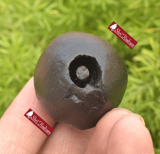 ShriRudram Harihara Shaligram , Hari Hara Shaligram Maha Vishnu Shiva Saligram Stone Gandaki Nepal, Religious Gifts HS46