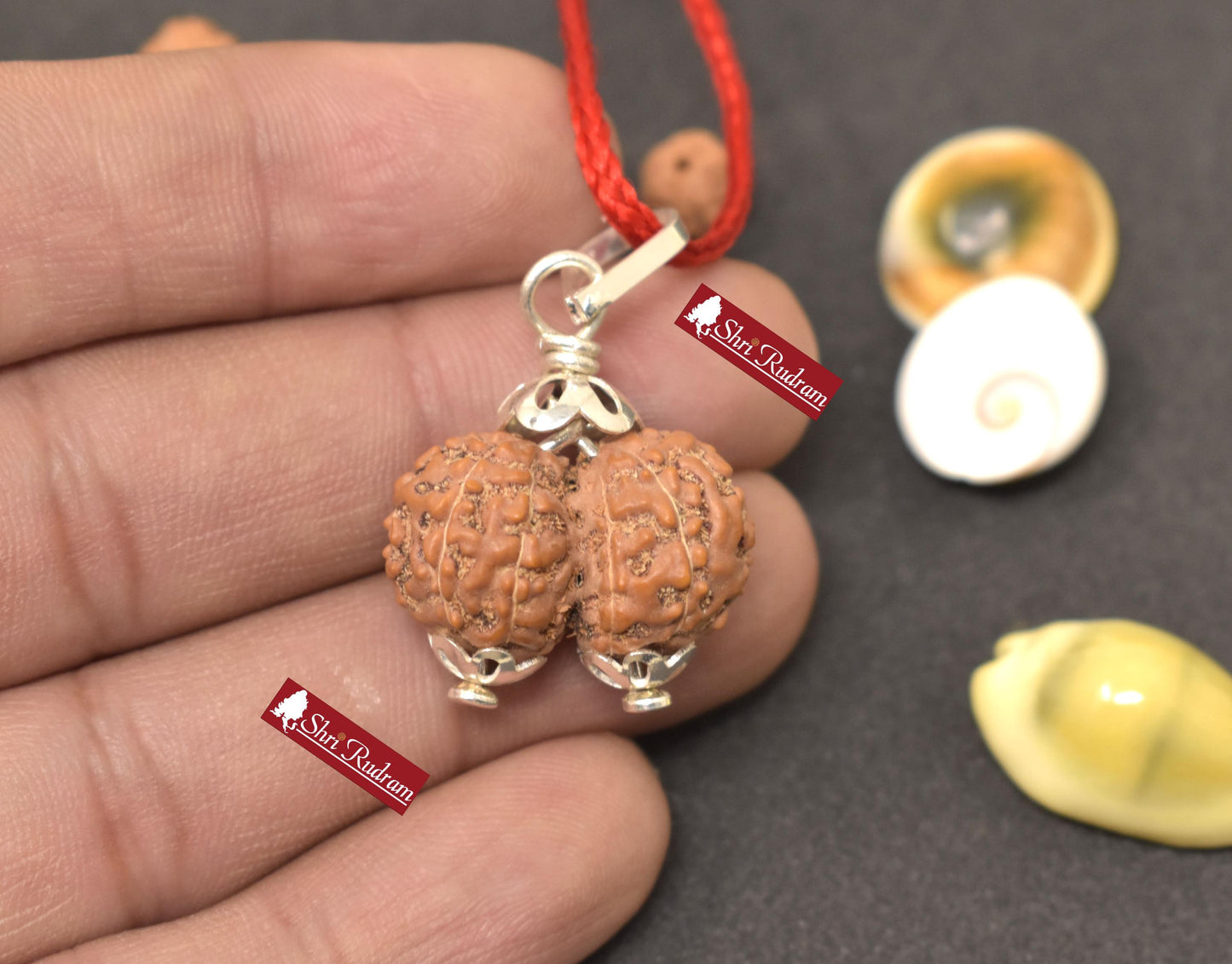 ShriRudram Gauri Shankar Rudraksha / Gouri Sankar Rudraksh Java Bead Lab Certified 23.08 MM