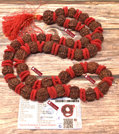 ShriRudram Ganesh Rudraksha Mala / Ganesha Rudraksh Rosary Kantha Nepal Lab Certified
