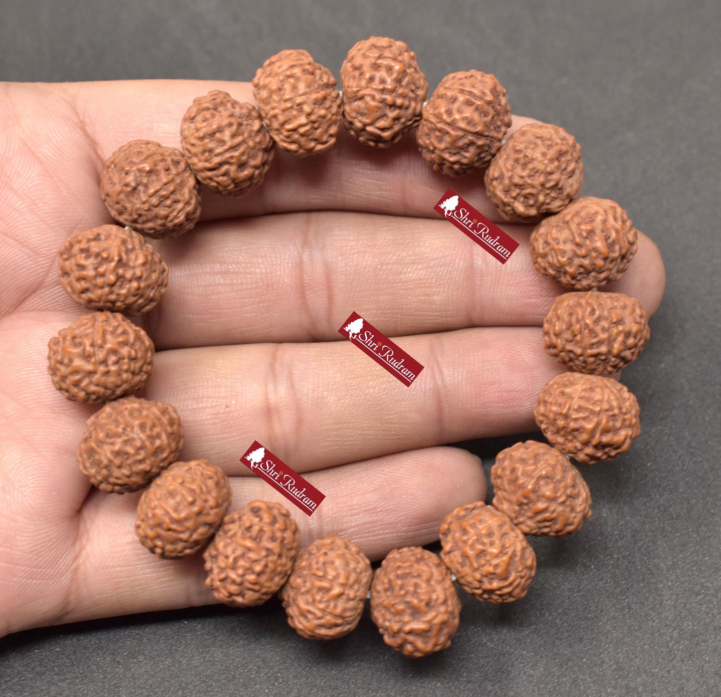 ShriRudram 10 Mukhi Rudraksha Bracelet, Shiva Bracelet, Yoga Bracelet, Rudraksha 10 Face Bracelet, Seed Beads Lab Certified 15 MM