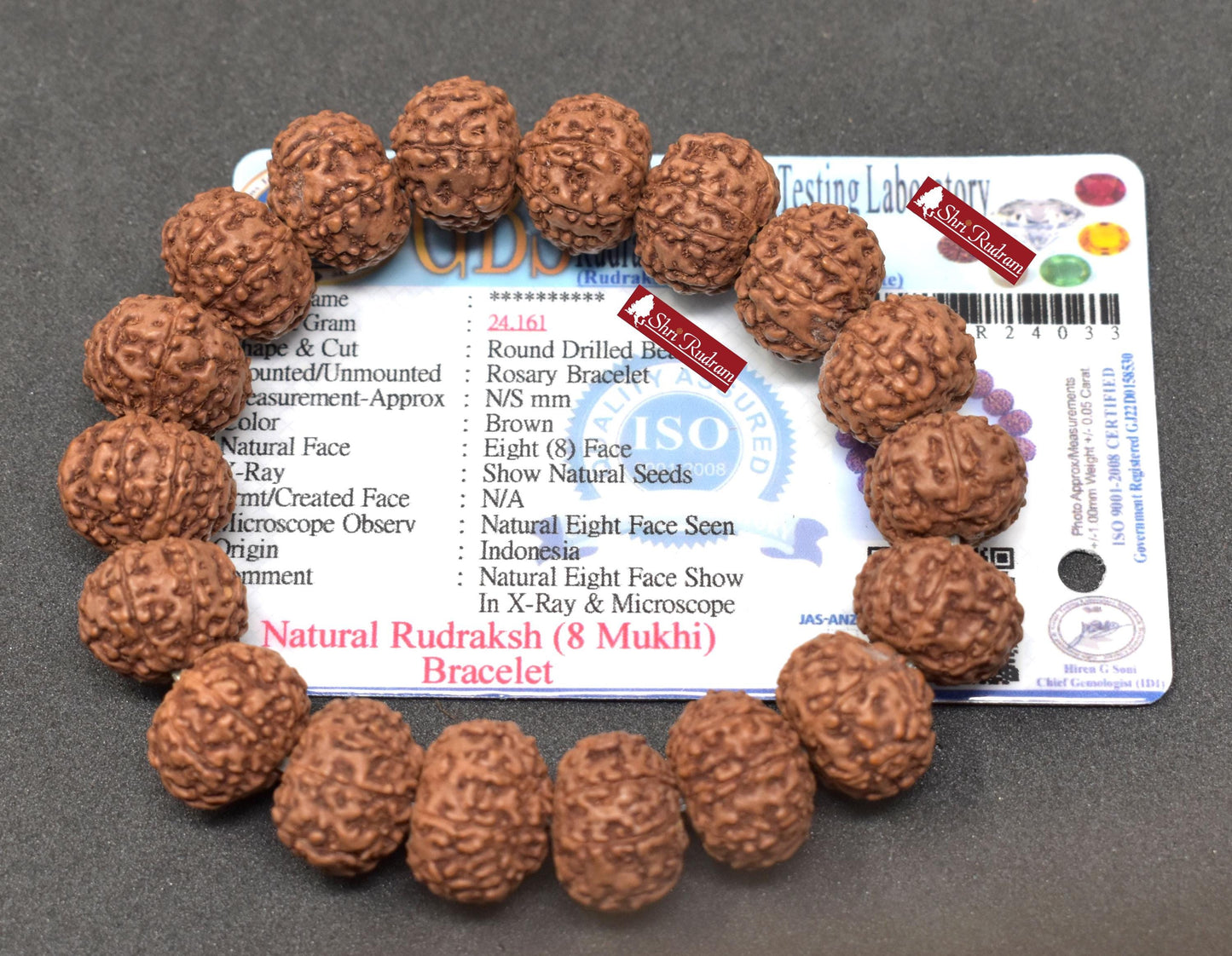 Shri Rudram 8 Mukhi Rudraksha Bracelet / Eight Face Rudraksh Wristlet Java Lab Certified 15 MM