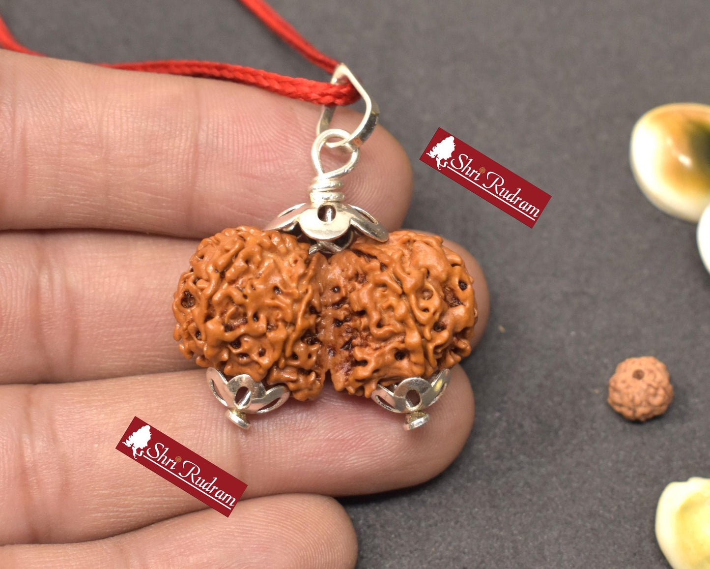 ShriRudram Gauri Shankar Rudraksha / Gouri Sankar Rudraksh Nepal Bead Lab Certified 33.15 MM