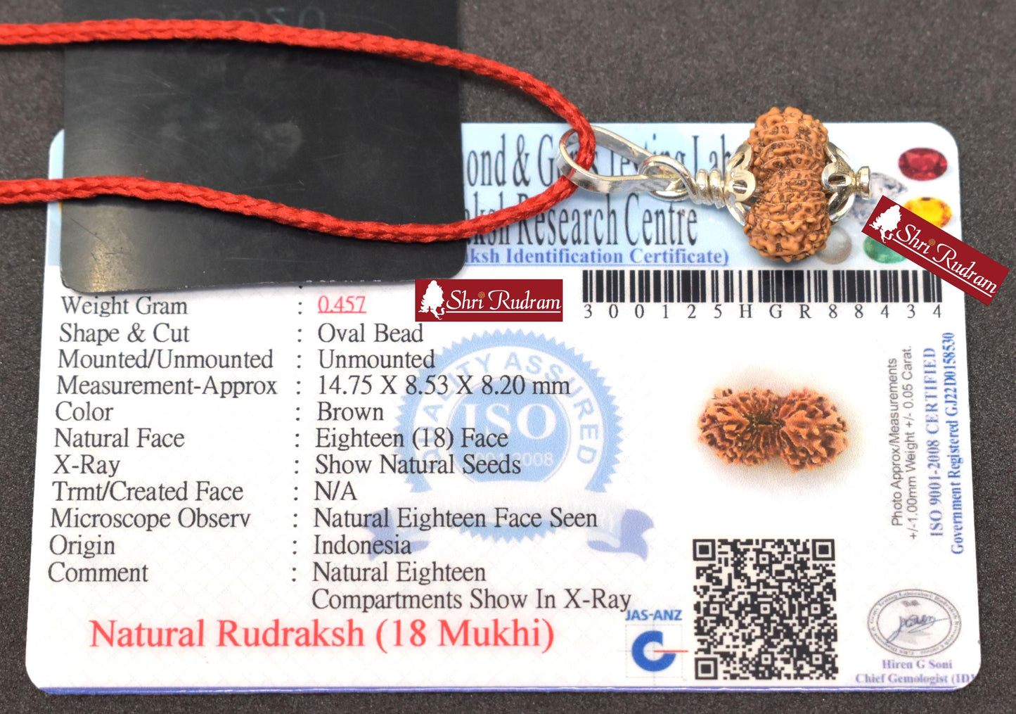 ShriRudram 18 Mukhi Rudraksha / Eighteen Face Rudraksh Java Bead Lab Certified 14.75 MM