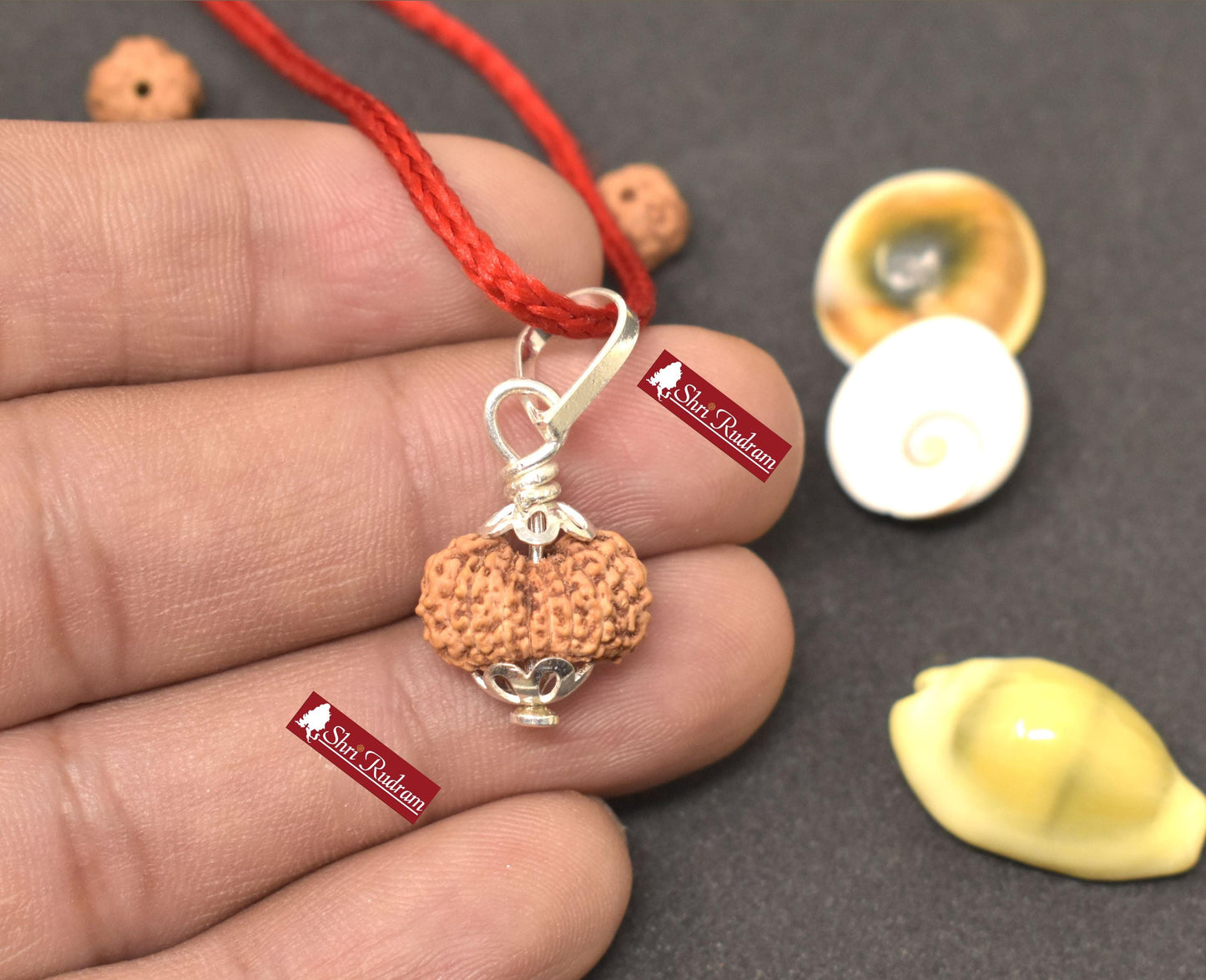 ShriRudram 16 Mukhi Rudraksha / Sixteen Face Rudraksh Java Bead Lab Certified 15.11 MM