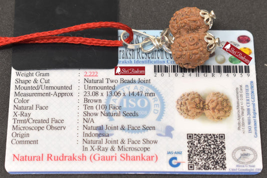 ShriRudram Gauri Shankar Rudraksha / Gouri Sankar Rudraksh Java Bead Lab Certified 23.08 MM
