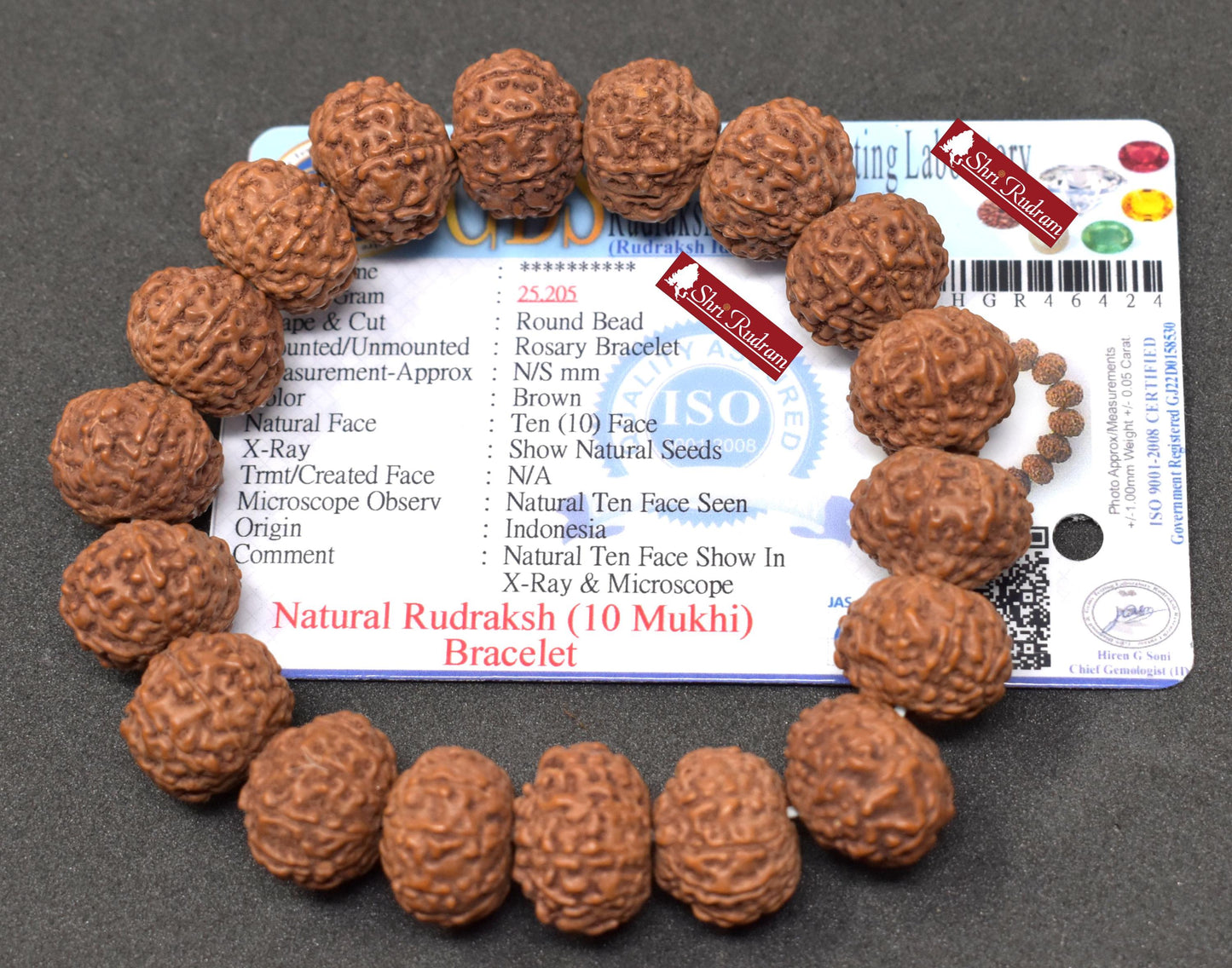 ShriRudram 10 Mukhi Rudraksha Bracelet, Shiva Bracelet, Yoga Bracelet, Rudraksha 10 Face Bracelet, Seed Beads Lab Certified 15 MM