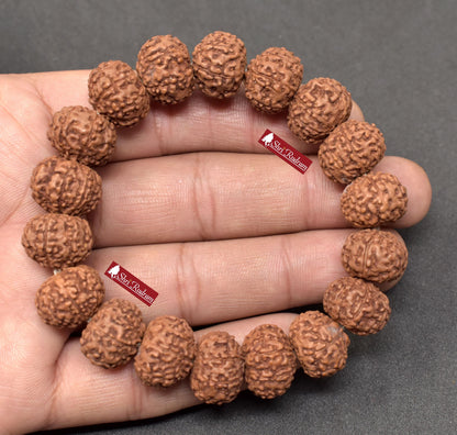 Shri Rudram 8 Mukhi Rudraksha Bracelet / Eight Face Rudraksh Wristlet Java Lab Certified 15 MM