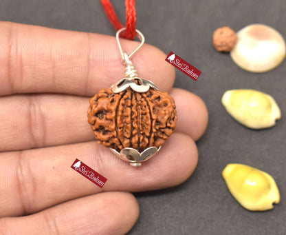 ShriRudram 11 Mukhi Rudraksha / Eleven Face Rudraksh Nepal Bead Lab Certified 24.76 MM