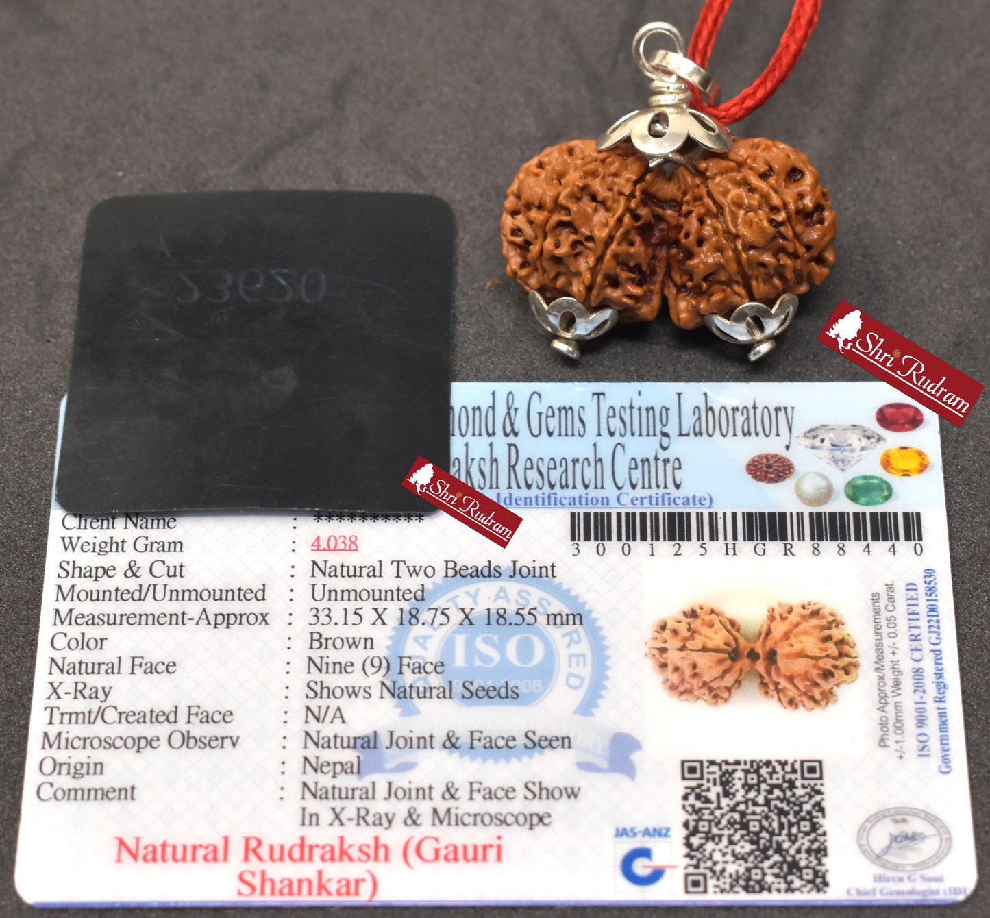 ShriRudram Gauri Shankar Rudraksha / Gouri Sankar Rudraksh Nepal Bead Lab Certified 33.15 MM