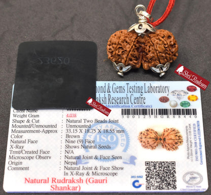 ShriRudram Gauri Shankar Rudraksha / Gouri Sankar Rudraksh Nepal Bead Lab Certified 33.15 MM