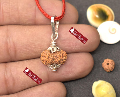 ShriRudram 18 Mukhi Rudraksha / Eighteen Face Rudraksh Java Bead Lab Certified 14.75 MM