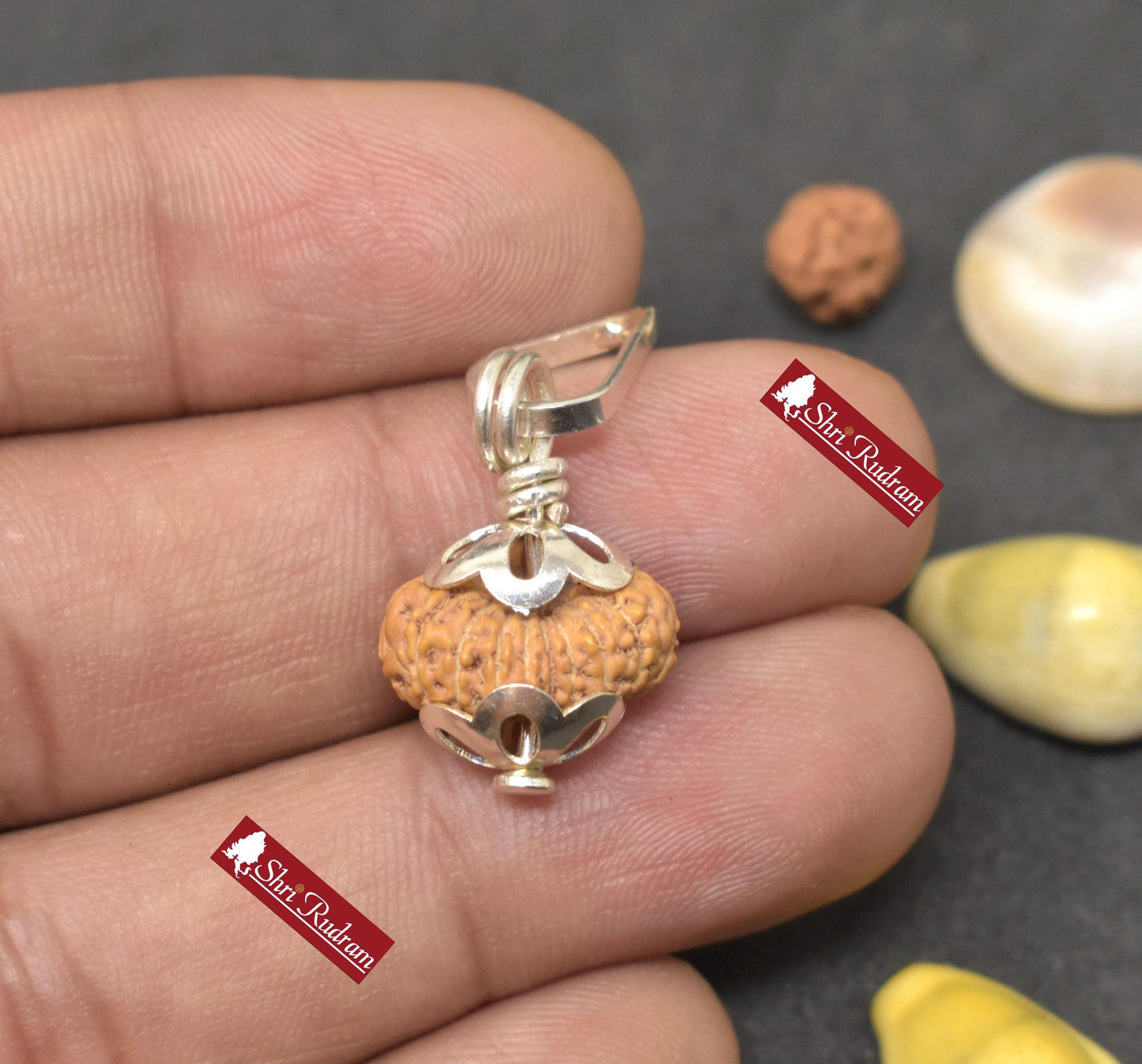 ShriRudram 20 Mukhi Rudraksha / Twenty Face Rudraksh Java Bead Lab Certified 15.03 MM