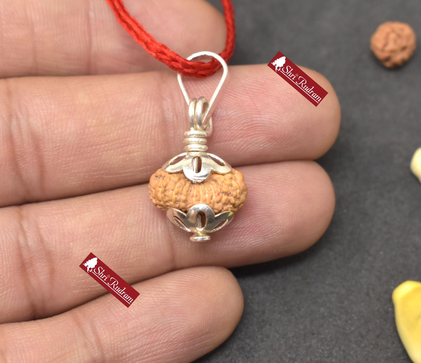 ShriRudram 20 Mukhi Rudraksha / Twenty Face Rudraksh Java Bead Lab Certified 15.03 MM