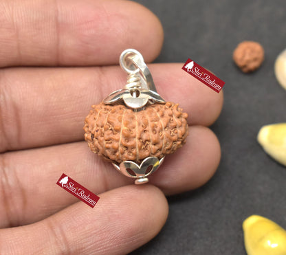 ShriRudram 18 MUkhi Rudraksha / Eighteen Face Rudraksh Java Bead Lab Certified 23.31 MM