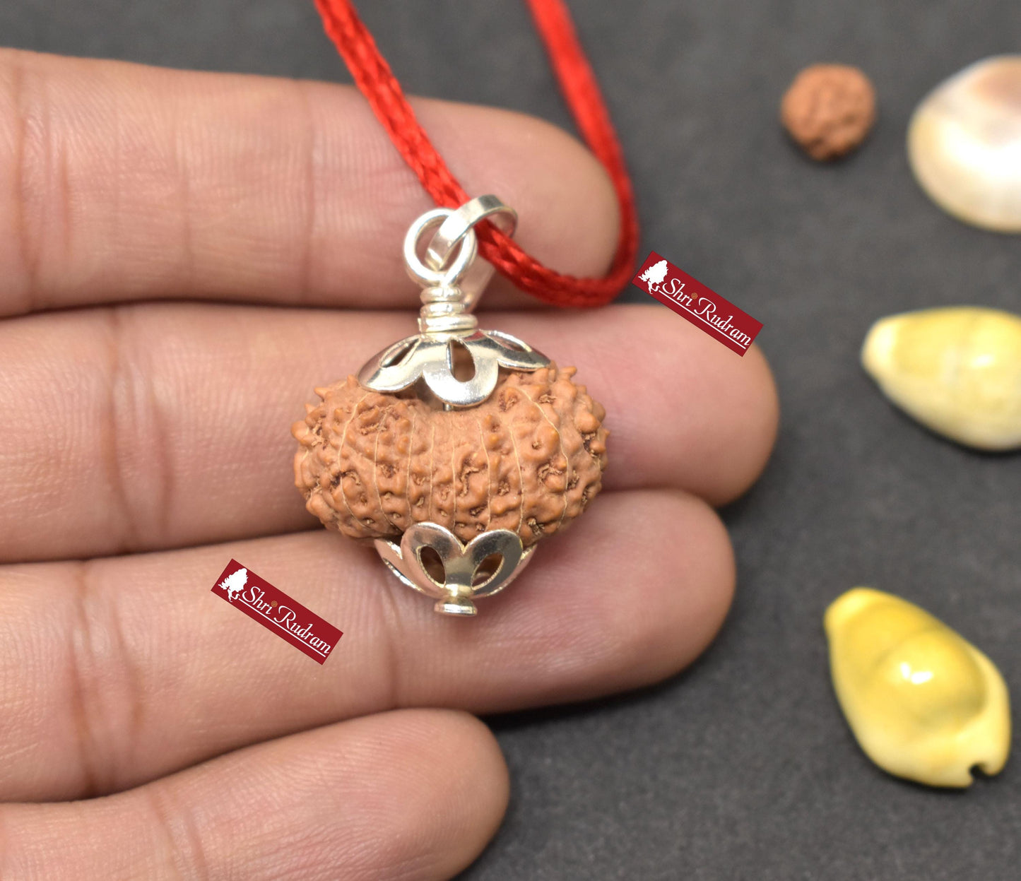 ShriRudram 18 MUkhi Rudraksha / Eighteen Face Rudraksh Java Bead Lab Certified 23.31 MM