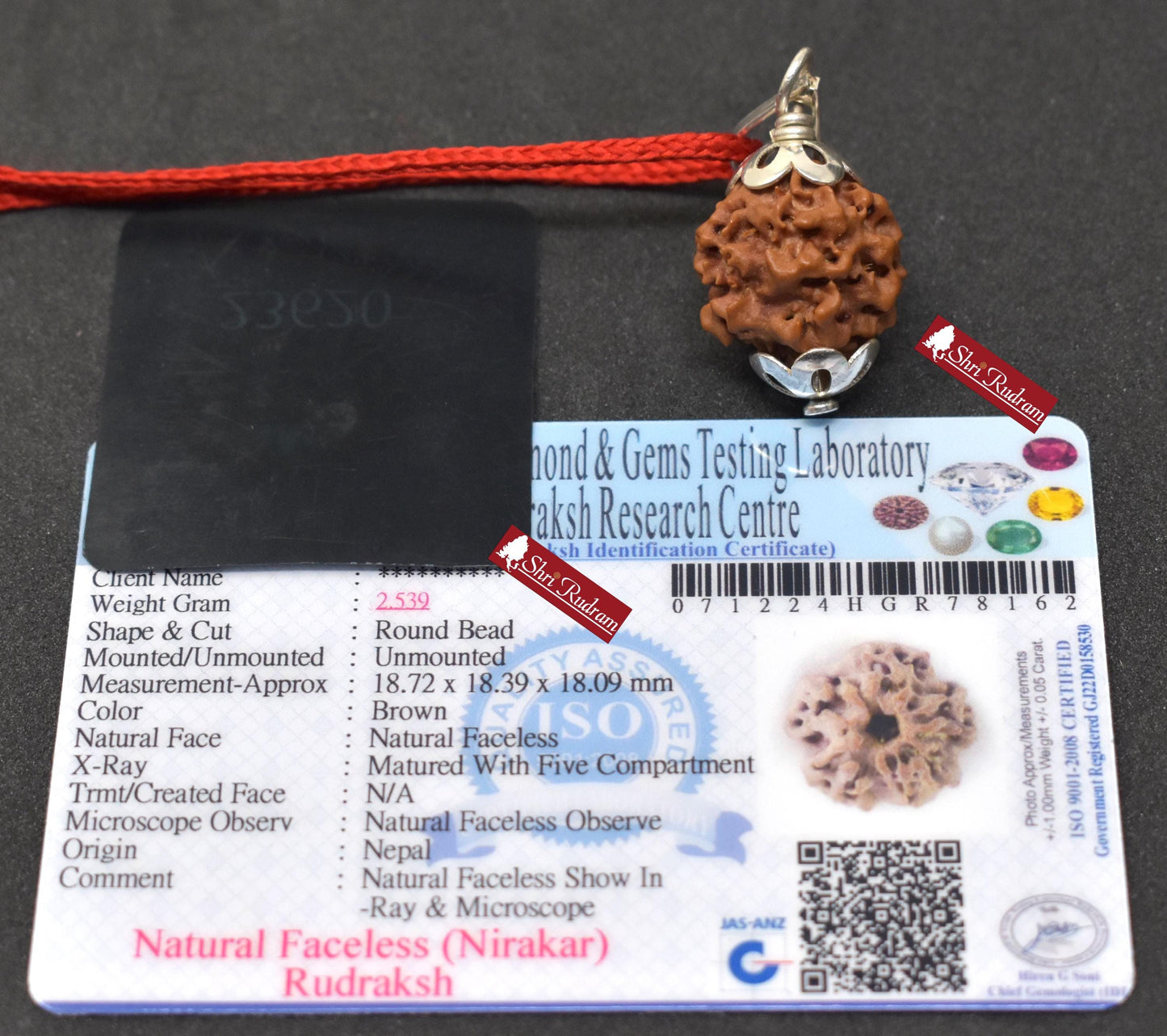 ShriRudram Zero Mukhi Rudraksha / Nirakar Faceless Rudraksh Nepal  Bead Lab Certified 18.72 MM