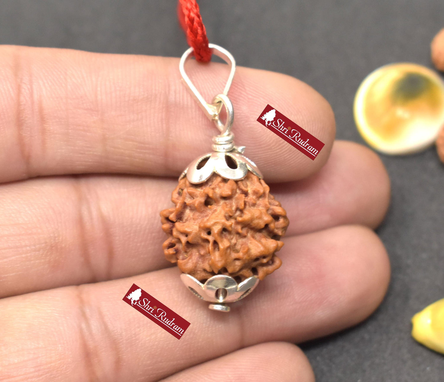 ShriRudram Zero Mukhi Rudraksha / Nirakar Faceless Rudraksh Nepal Bead Lab Certified 18.24 MM
