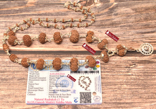 ShriRudram Siddha Mala 1 - 16 Mukhi , Gauri Shankar , Ganesh Rudraksha Rudraksh in Silver Lab Certified D46