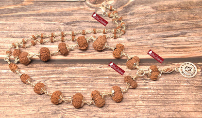 ShriRudram Siddha Mala 1 - 16 Mukhi , Gauri Shankar , Ganesh Rudraksha Rudraksh in Silver Lab Certified D46