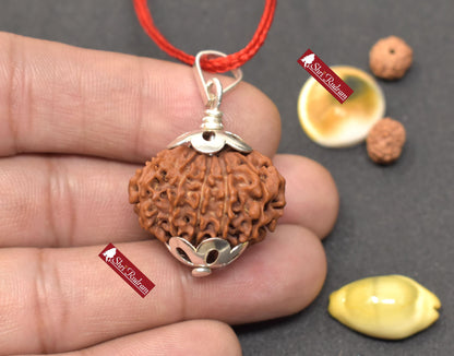 ShriRudram 11 Mukhi Rudraksha / Eleven Face Rudraksh Nepal Bead Lab Certified 25.62  MM