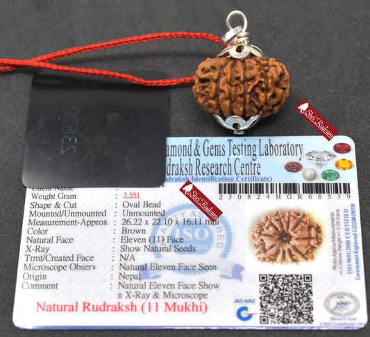 ShriRudram 11 Mukhi Rudraksha / Eleven Face Rudraksh Nepal Bead Lab Certified 26.22 MM