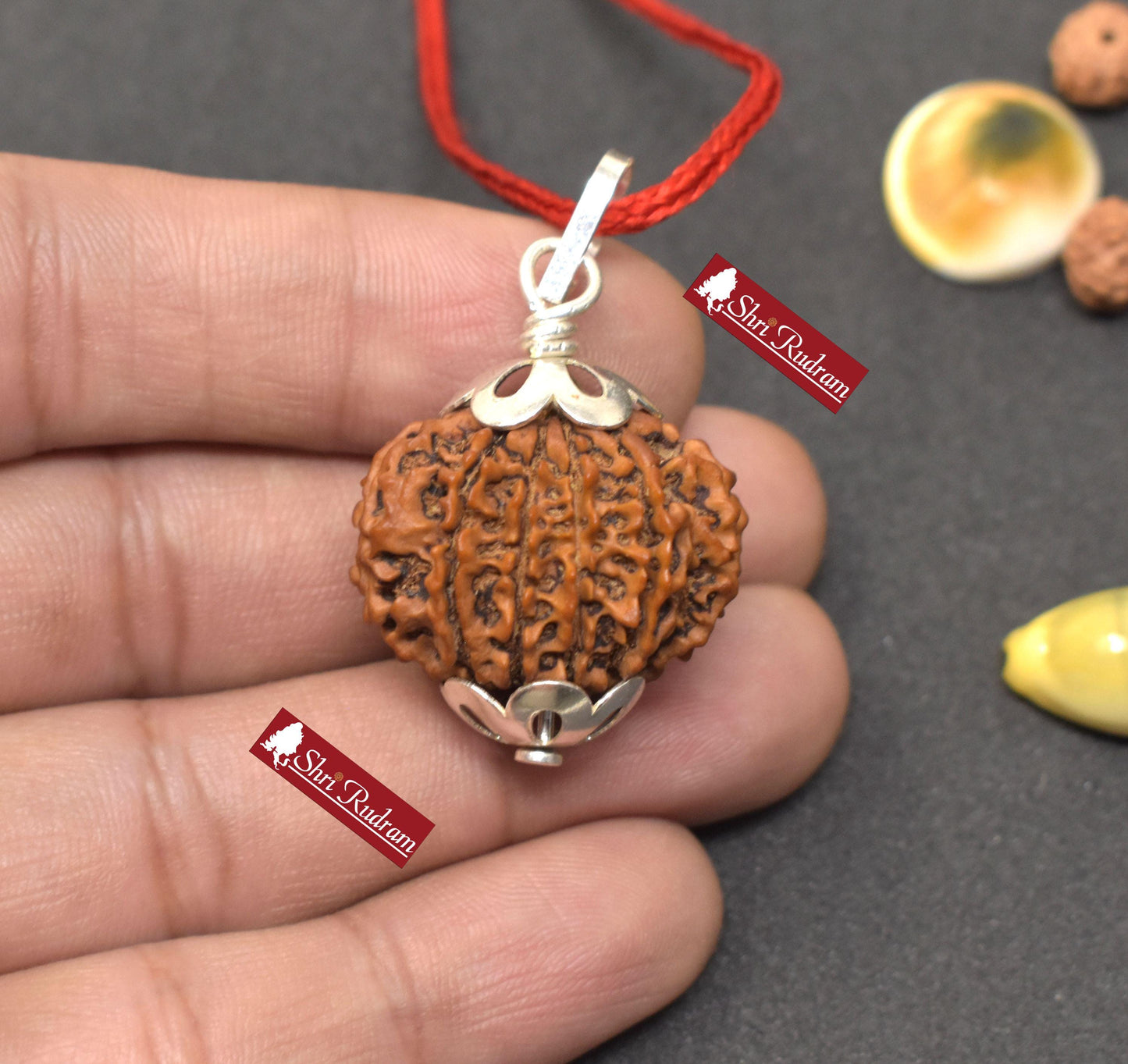 ShriRudram 10 Mukhi Rudraksha / Ten Face Rudraksh Nepal Bead Lab Certified 26.05 MM