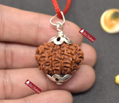 ShriRudram 10 Mukhi Rudraksha / Ten Face Rudraksh Nepal Bead Lab Certified 26.26 MM