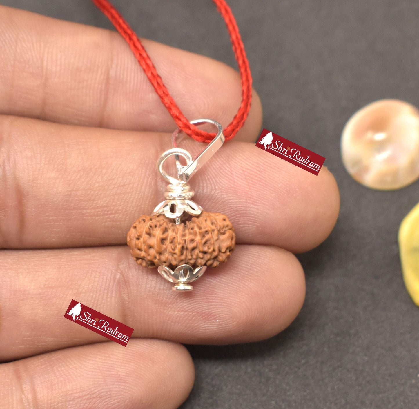 ShriRudram 17 Mukhi Rudraksha / Seventeen Face Rudraksh Java Bead Lab Certified 16.18 MM