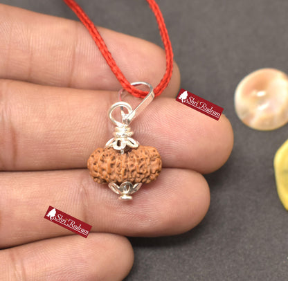 ShriRudram 17 Mukhi Rudraksha / Seventeen Face Rudraksh Java Bead Lab Certified 16.18 MM