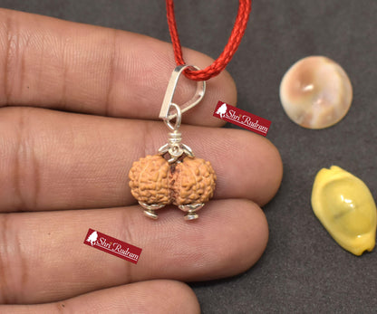 ShriRudram 13 Mukhi Gauri Shankar Rudraksha / Gouri Sankar Rudraksh Java  Bead Lab Certified 16.85 MM