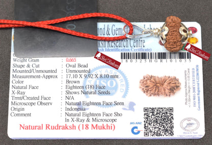 ShriRudram 18 MUkhi Rudraksha / Eighteen Face Rudraksh Java Bead Lab Certified 17.10 MM