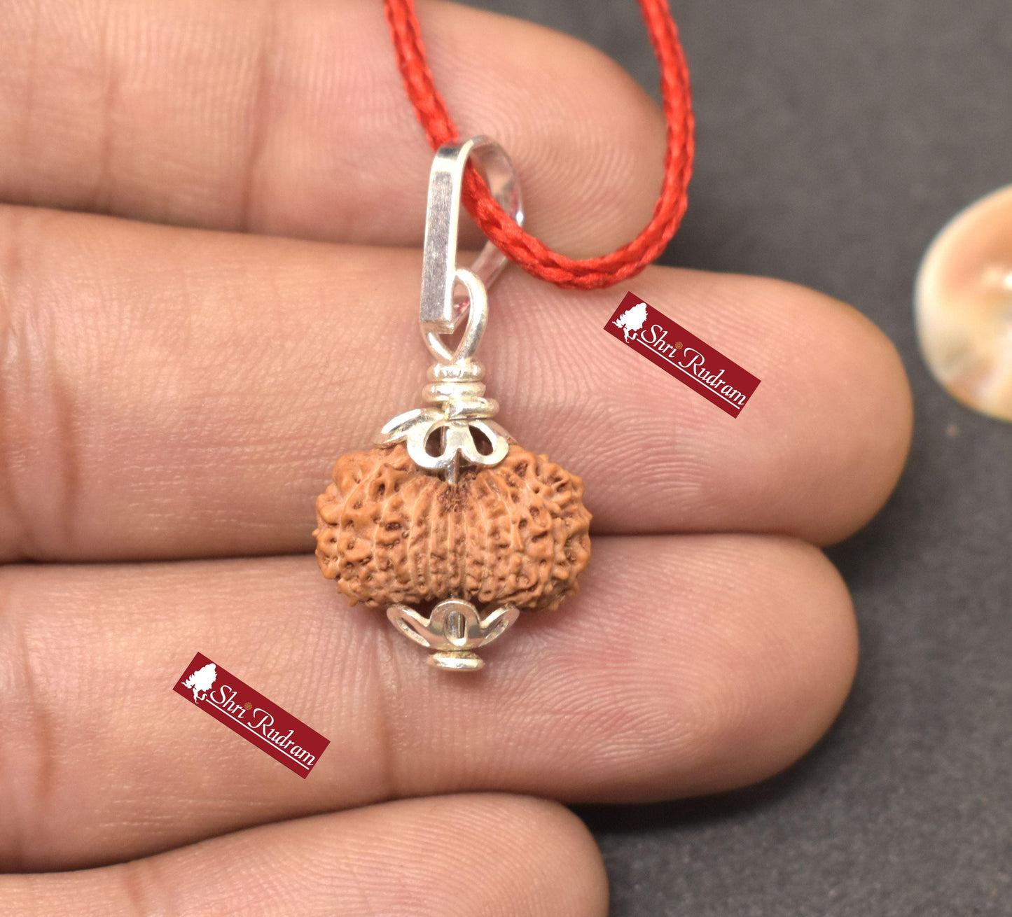 ShriRudram 18 MUkhi Rudraksha / Eighteen Face Rudraksh Java Bead Lab Certified 15.72 MM