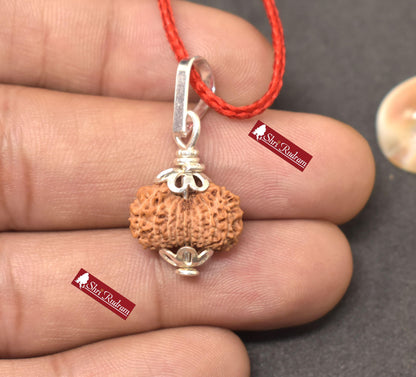 ShriRudram 18 MUkhi Rudraksha / Eighteen Face Rudraksh Java Bead Lab Certified 15.72 MM