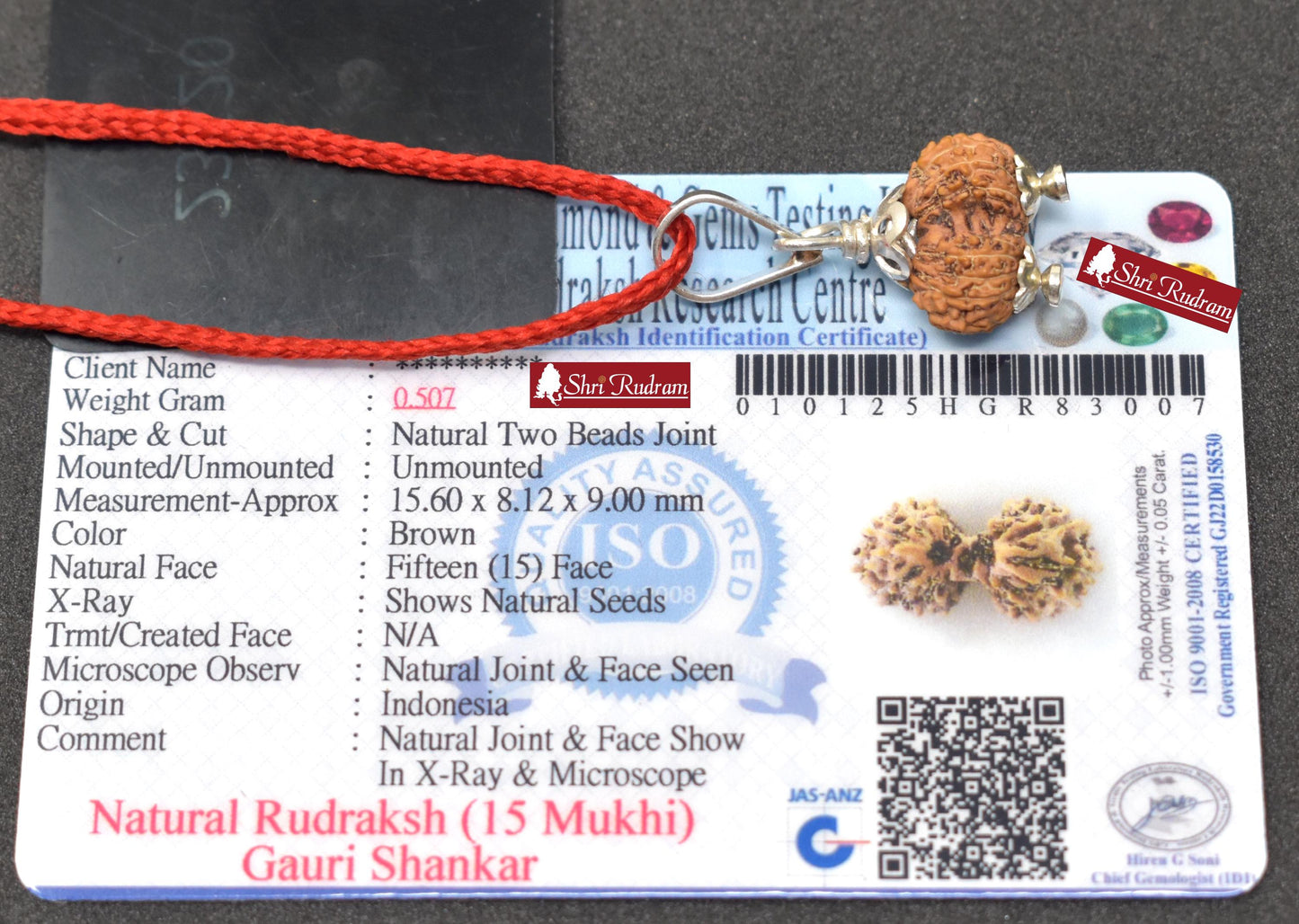 ShriRudram 15 Mukhi Gauri Shankar Rudraksha Gouri Sankar Rudraksh Java Bead Lab Certified 15.60 MM