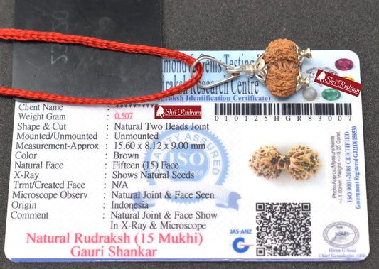 ShriRudram 15 Mukhi Gauri Shankar Rudraksha Gouri Sankar Rudraksh Java Bead Lab Certified 15.60 MM