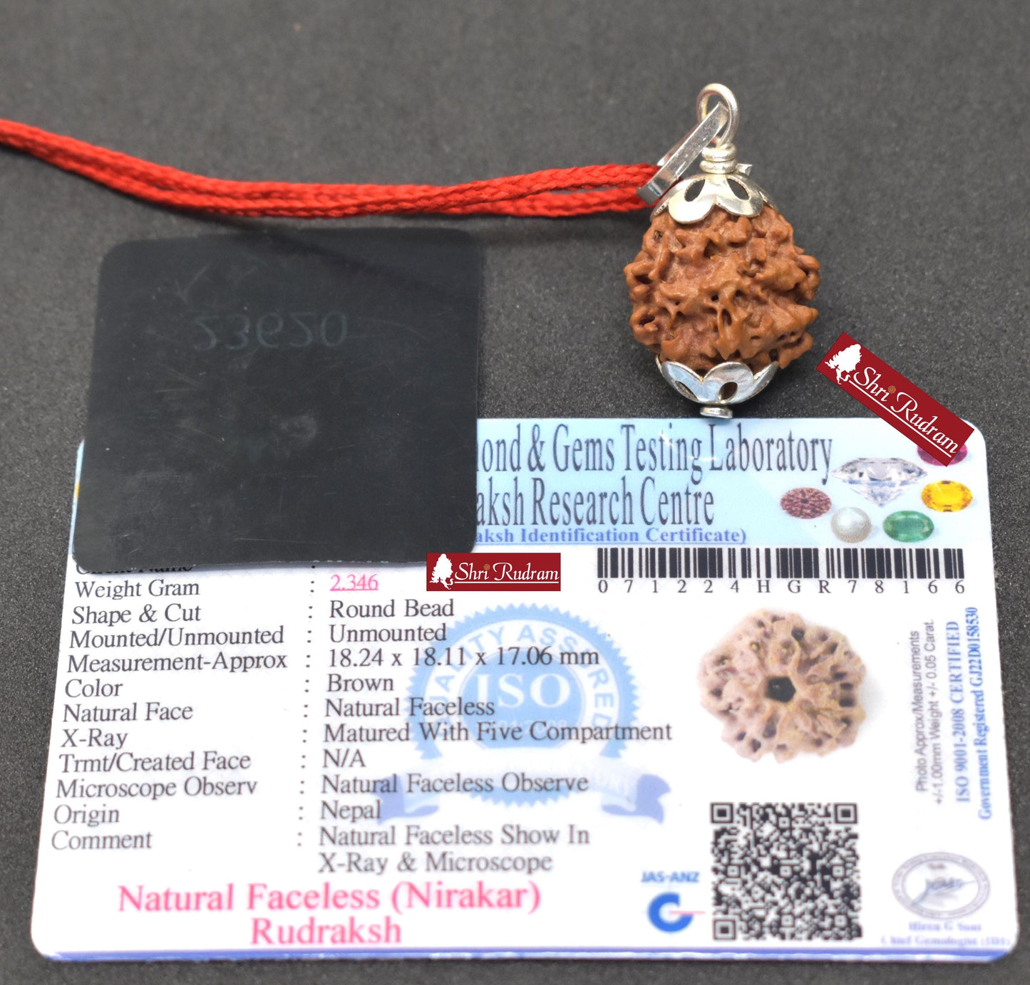 ShriRudram Zero Mukhi Rudraksha / Nirakar Faceless Rudraksh Nepal Bead Lab Certified 18.24 MM