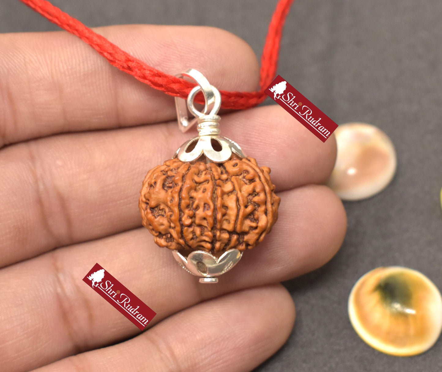 ShriRudram 9 Mukhi Rudraksha / NIne Face Rudraksh Nepal Bead Lab Certified Size 23.14 MM