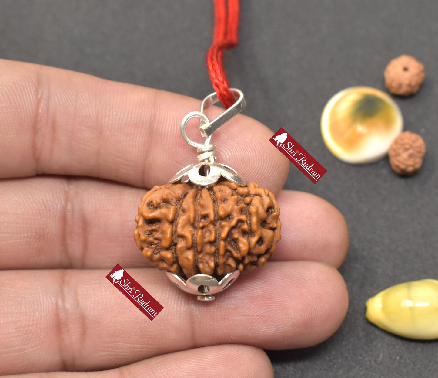 ShriRudram 11 Mukhi Rudraksha / Eleven Face Rudraksh Nepal Bead Lab Certified 26.22 MM